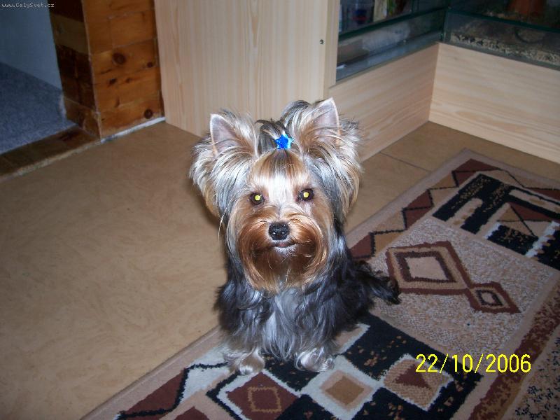 Foto: Bessy